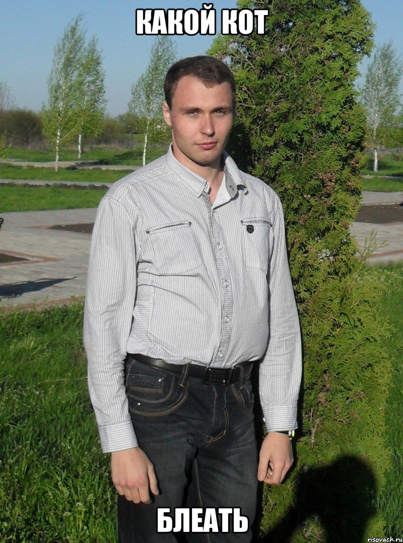 Какой кот БЛЕАТЬ