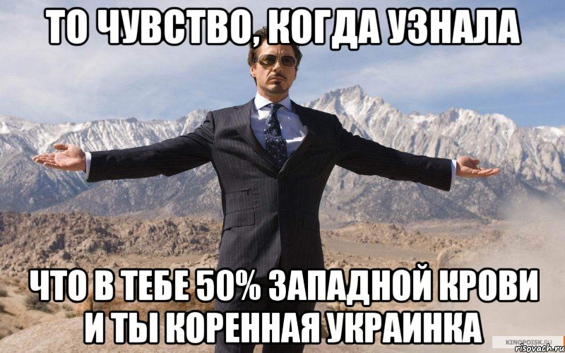 То чувство, когда узнала что в тебе 50% западной крови и ты коренная украинка, Мем железный человек