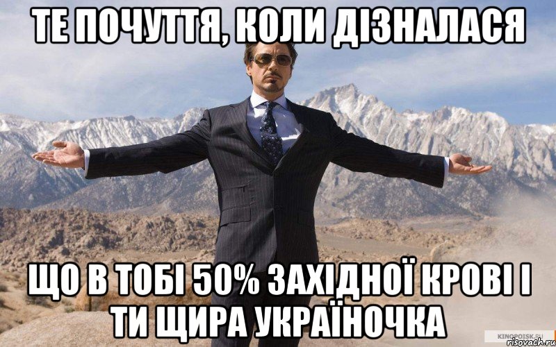 Те почуття, коли дізналася Що в тобі 50% західної крові і ти щира україночка, Мем железный человек