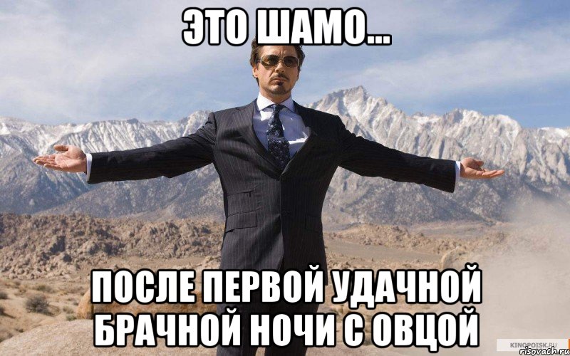 Это Шамо... После первой удачной брачной ночи с овцой, Мем железный человек