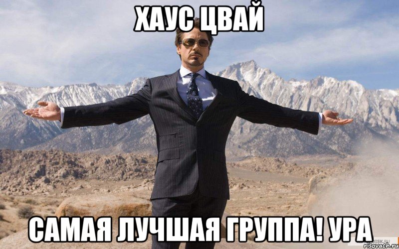 Хаус цвай Самая лучшая группа! Ура, Мем железный человек