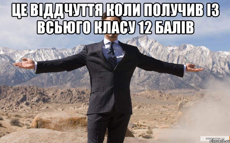 Це віддчуття коли получив із всьюго класу 12 балів , Мем железный человек