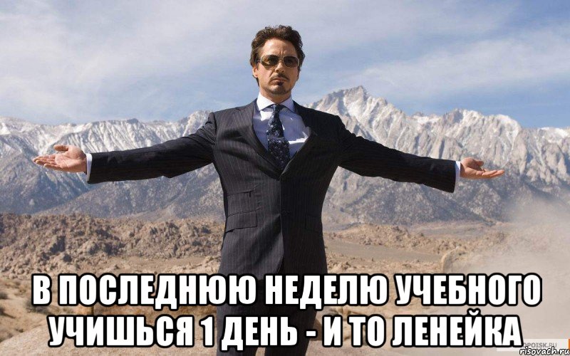  В ПОСЛЕДНЮЮ НЕДЕЛЮ УЧЕБНОГО УЧИШЬСЯ 1 ДЕНЬ - И ТО ЛЕНЕЙКА, Мем железный человек