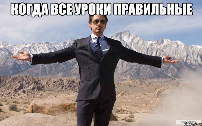 когда все уроки правильные , Мем железный человек