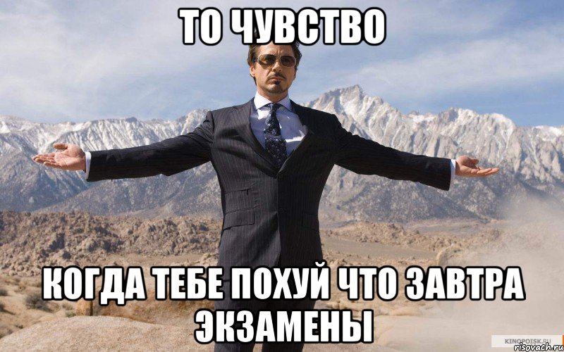 то чувство когда тебе похуй что завтра экзамены, Мем железный человек