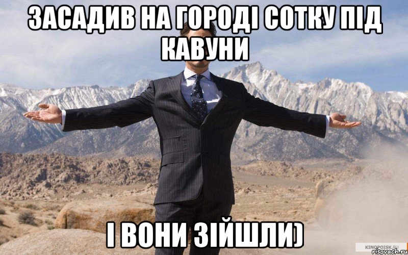 Засадив на городі сотку під кавуни І вони зійшли), Мем железный человек