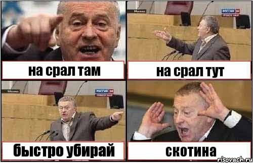 на срал там на срал тут быстро убирай скотина, Комикс жиреновский