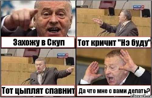 Захожу в Скуп Тот кричит "Нэ буду" Тот цыплят спавнит Да что мне с вами делать?, Комикс жиреновский