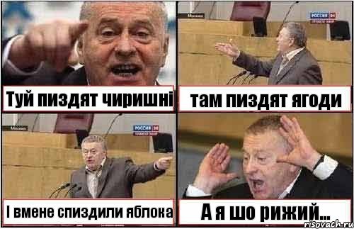 Туй пиздят чиришні там пиздят ягоди І вмене спиздили яблока А я шо рижий..., Комикс жиреновский