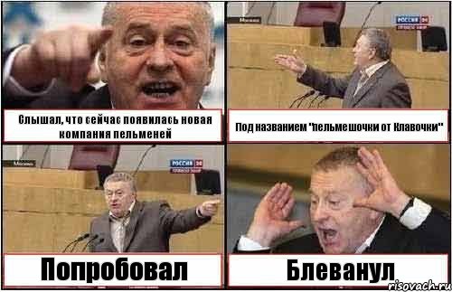 Слышал, что сейчас появилась новая компания пельменей Под названием "пельмешочки от Клавочки" Попробовал Блеванул, Комикс жиреновский