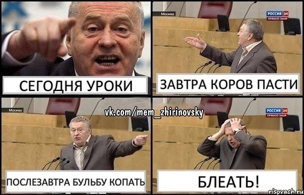 Сегодня уроки Завтра коров пасти Послезавтра бульбу копать Блеать!, Комикс Жирик