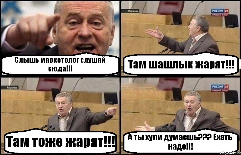 Слышь маркетолог слушай сюда!!! Там шашлык жарят!!! Там тоже жарят!!! А ты хули думаешь??? Ехать надо!!!, Комикс Жириновский