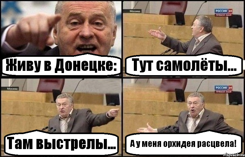 Живу в Донецке: Тут самолёты... Там выстрелы... А у меня орхидея расцвела!, Комикс Жириновский