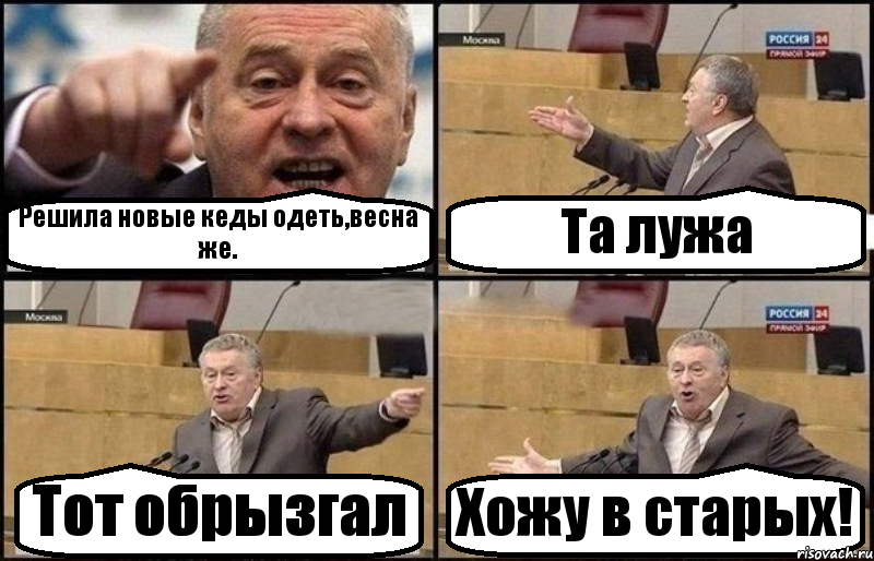 Решила новые кеды одеть,весна же. Та лужа Тот обрызгал Хожу в старых!, Комикс Жириновский