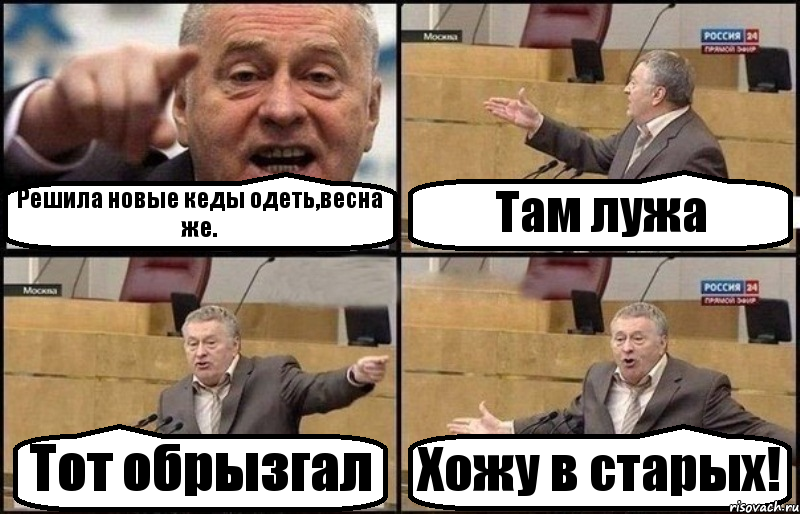 Решила новые кеды одеть,весна же. Там лужа Тот обрызгал Хожу в старых!, Комикс Жириновский