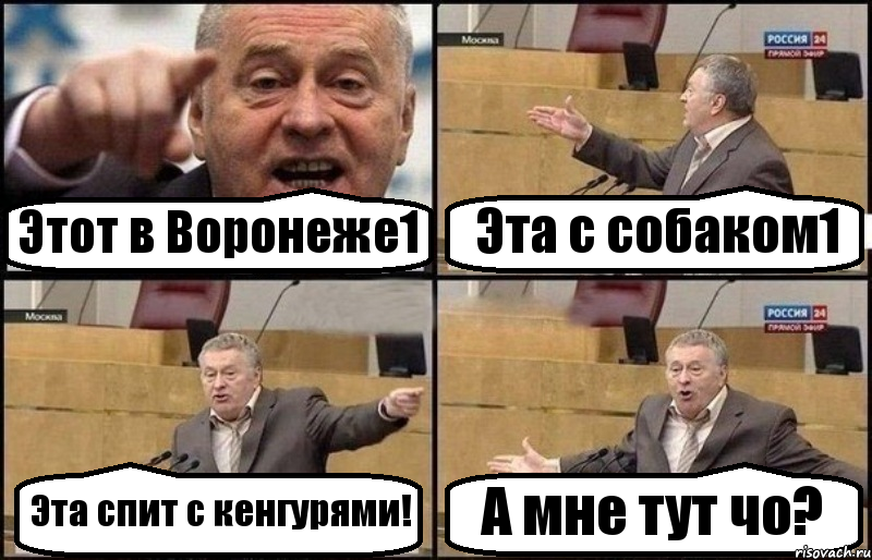 Этот в Воронеже1 Эта с собаком1 Эта спит с кенгурями! А мне тут чо?, Комикс Жириновский