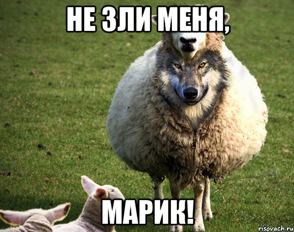 Не зли меня, Марик!, Мем Злая Овца