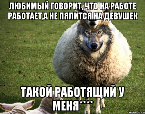 Любимый говорит, что на работе работает,а не пялится на девушек Такой работящий у меня****, Мем Злая Овца