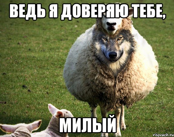 Ведь я доверяю тебе, Милый, Мем Злая Овца