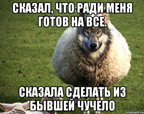 Сказал, что ради меня готов на все. Сказала сделать из бывшей чучело, Мем Злая Овца