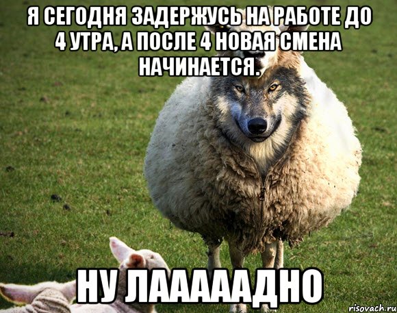 Я сегодня задержусь на работе до 4 утра, а после 4 новая смена начинается. Ну лааааадно, Мем Злая Овца