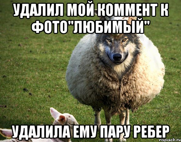 удалил мой коммент к фото"любимый" удалила ему пару ребер, Мем Злая Овца