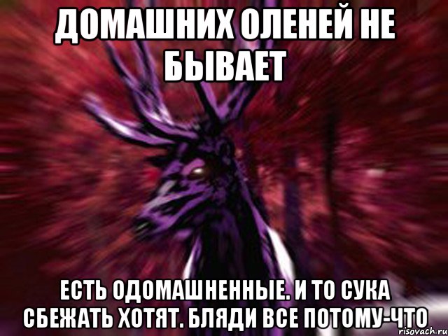 домашних оленей не бывает есть одомашненные. и то сука сбежать хотят. бляди все потому-что, Мем ЗЛОЙ ОЛЕНЬ