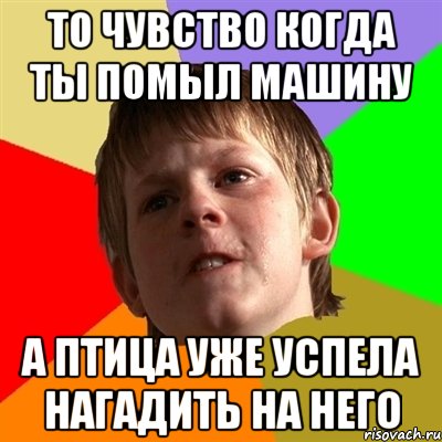 ТО ЧУВСТВО КОГДА ТЫ ПОМЫЛ МАШИНУ А ПТИЦА УЖЕ УСПЕЛА НАГАДИТЬ НА НЕГО