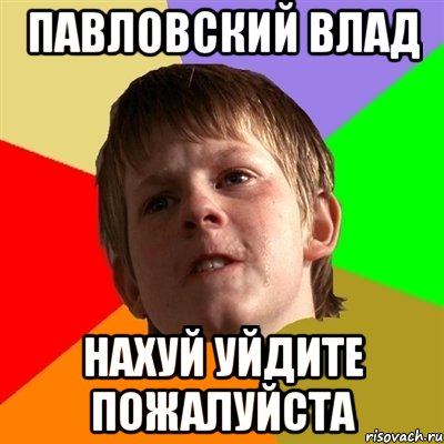 Павловский Влад Нахуй уйдите пожалуйста