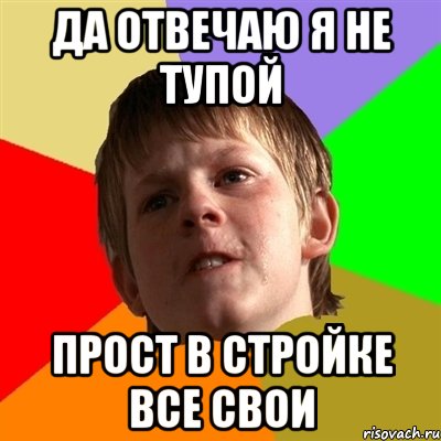 Да отвечаю я не тупой Прост в стройке все свои
