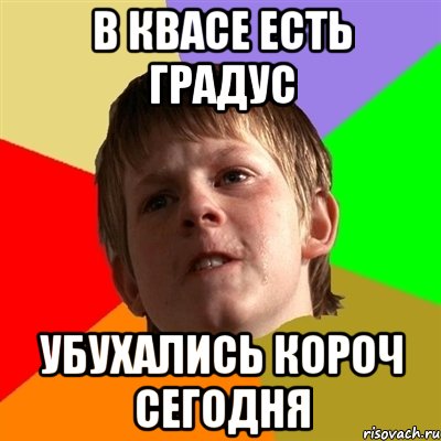 в квасе есть градус убухались короч сегодня