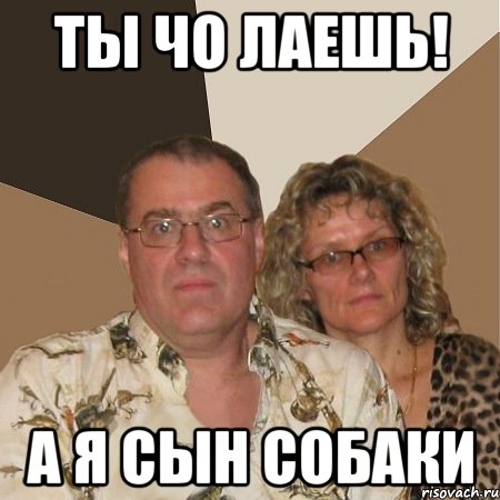ты чо лаешь! А я сын собаки, Мем  Злые родители