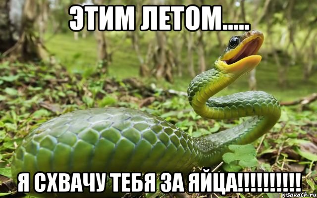 Этим летом..... Я схвачу тебя за ЯЙЦА!!!!!!!!!!