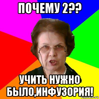 Почему 2?? Учить нужно было,инфузория!, Мем Типичная училка