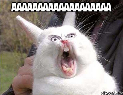 ааааааааааааааааааа 