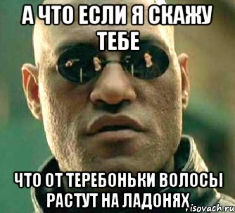 А что если я скажу тебе что от теребоньки волосы растут на ладонях, Мем  а что если я скажу тебе