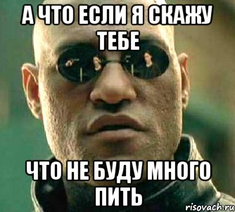 а что если я скажу тебе что не буду МНОГО пить, Мем  а что если я скажу тебе