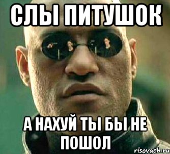 Слы питушок а нахуй ты бы не пошол