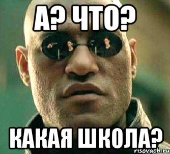 А? Что? Какая школа?