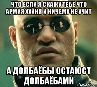 что если я скажу тебе что армия хуйня и ничему не учит а долбаёбы остаюст долбаёбами