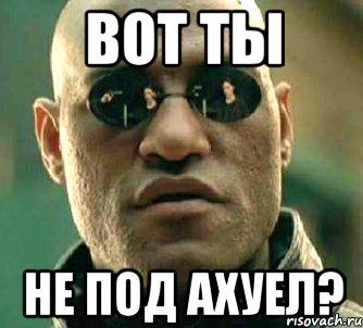 Вот ты не под ахуел?