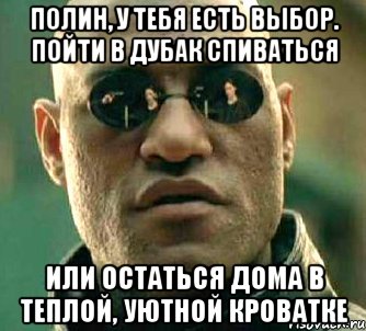 Полин, у тебя есть выбор. Пойти в дубак спиваться Или остаться дома в теплой, уютной кроватке