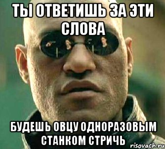 ты ответишь за эти слова будешь овцу одноразовым станком стричь