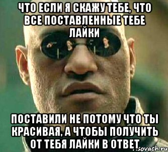 Что если я скажу тебе, что все поставленные тебе лайки Поставили не потому что ты красивая, а чтобы получить от тебя лайки в ответ