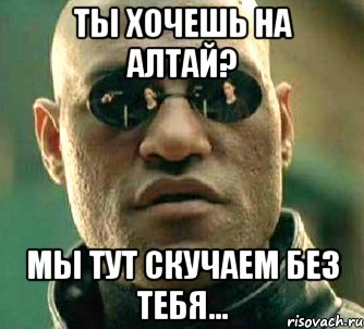 Ты хочешь на алтай? Мы тут скучаем без тебя...