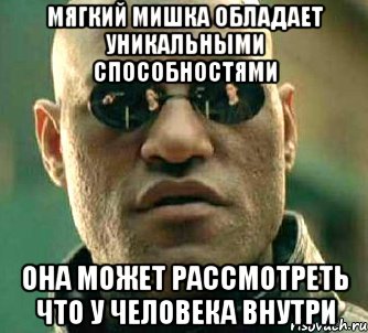 Мягкий мишка обладает уникальными способностями она может рассмотреть что у человека внутри