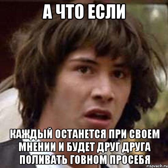 а что если каждый останется при своем мнении и будет друг друга поливать говном просебя, Мем А что если (Киану Ривз)