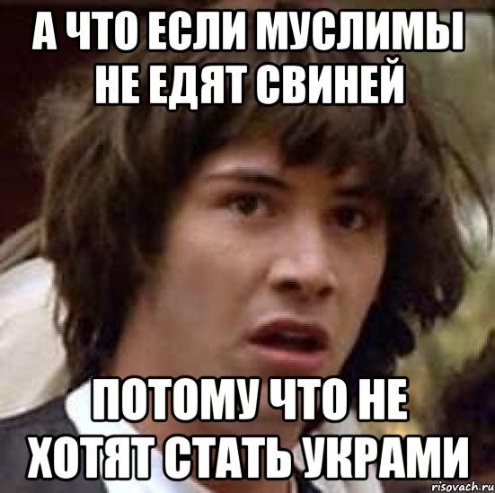 А что если муслимы не едят свиней потому что не хотят стать украми, Мем А что если (Киану Ривз)