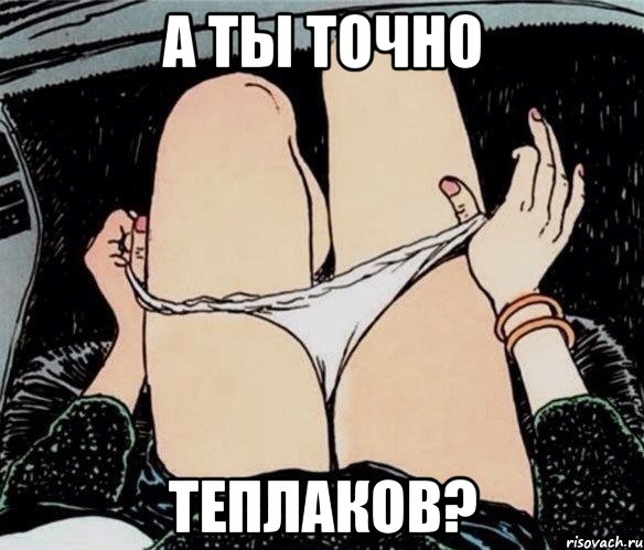 А ТЫ ТОЧНО Теплаков?, Мем А ты точно