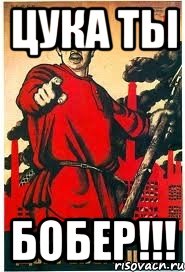 Цука ты БОБЕР!!!